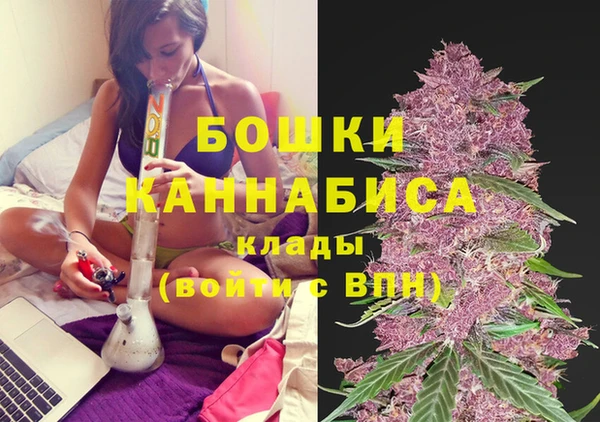 прущие крисы Козельск