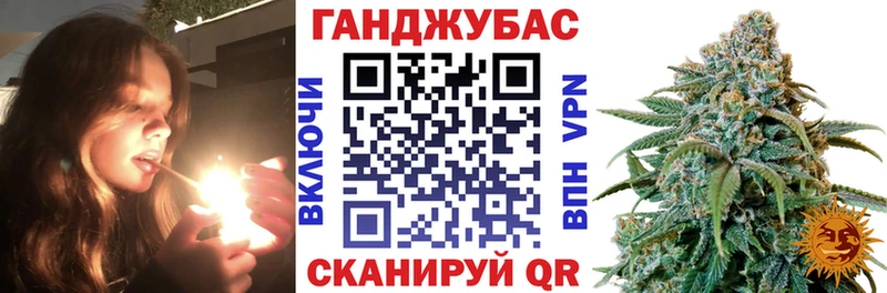 Купить закладки  Грязовец  Бошки марихуана гибрид 